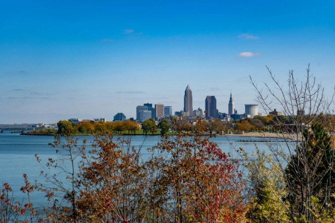 A view of bushes with calm lake water reflecting the clear blue sky in the background, with the Cleveland skyline in the distance.